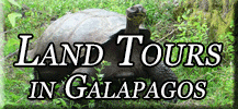 Land Tours in Galapagos